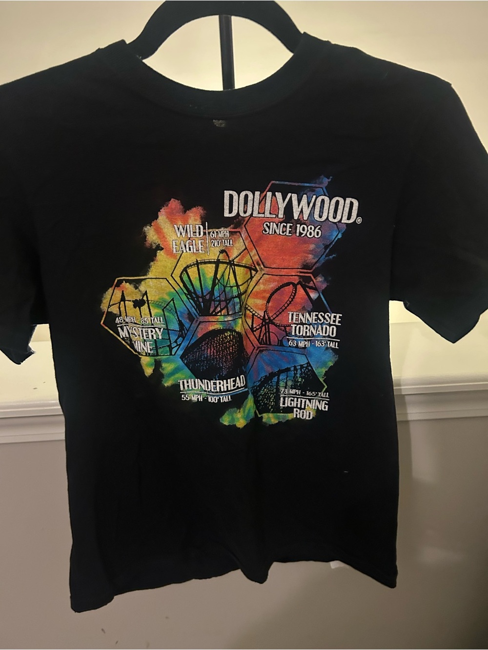Dollywood theme park graphic t-shirt youth large